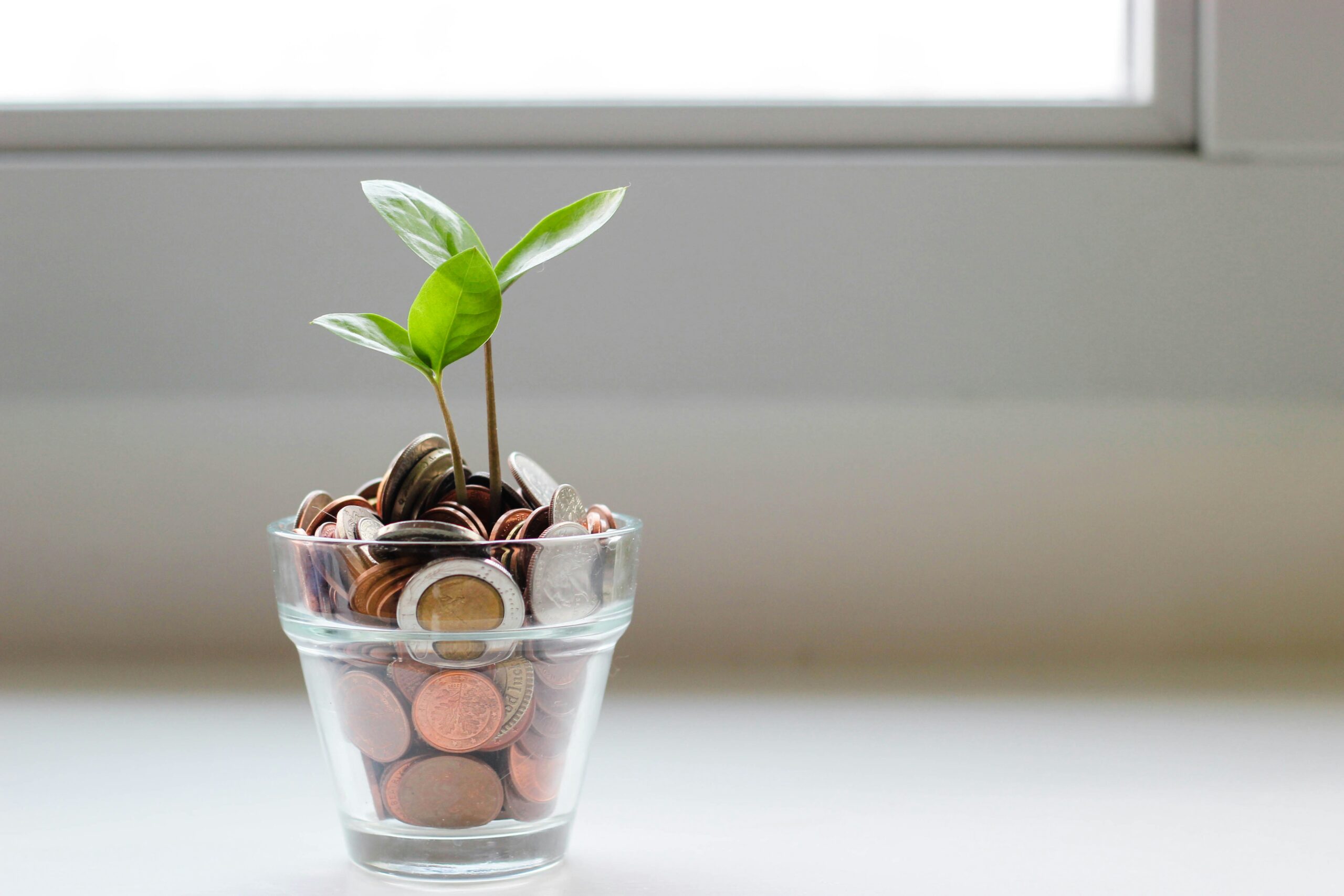SEO for financial services